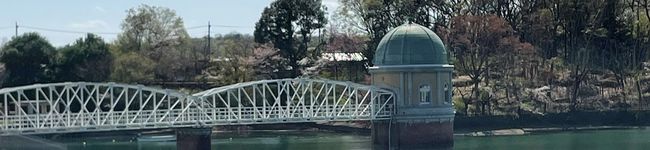 えみたまこ's header image