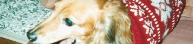japanadian's header image