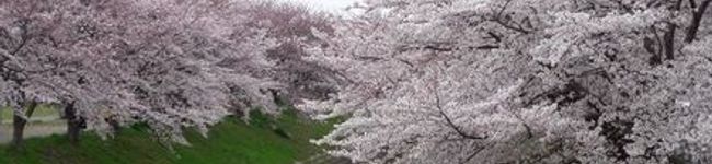 ミカボン888's header image
