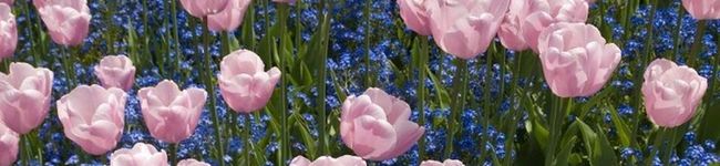 かえち1225's header image