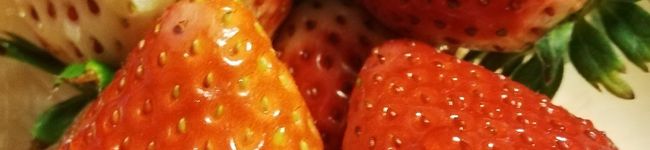 akicocooo's header image