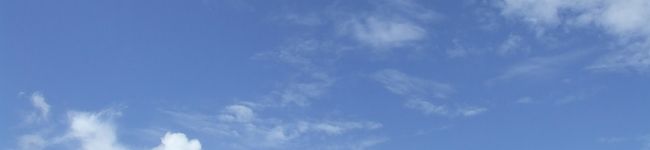 みー０３'s header image