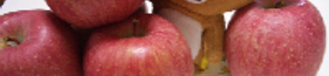 poleo's header image