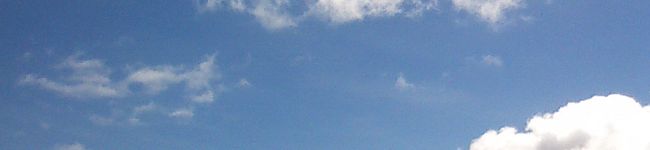ヴィアンヌ's header image