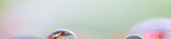 月詠人✿'s header image