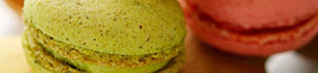 GALLETA's header image