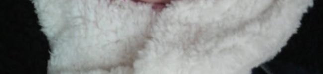 あゆぴーちゃん's header image