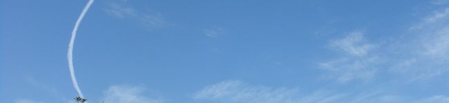 ひまわりパパ's header image