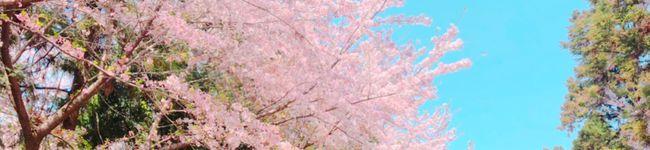 ☆mikuru☆'s header image