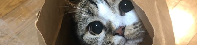 おこがます's header image