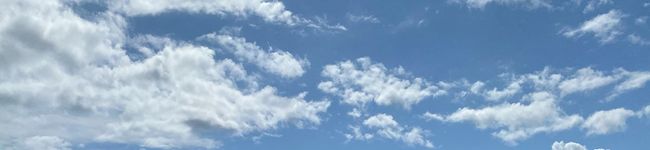 Sakiko___'s header image