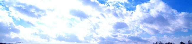りぃ（*vωv）'s header image