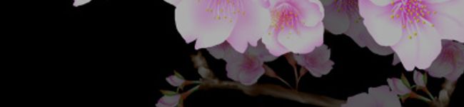 ★みき★'s header image
