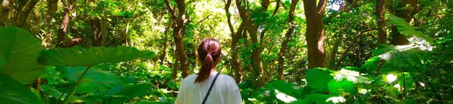 学生のキッチン's header image