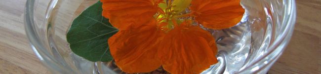 karin328's header image