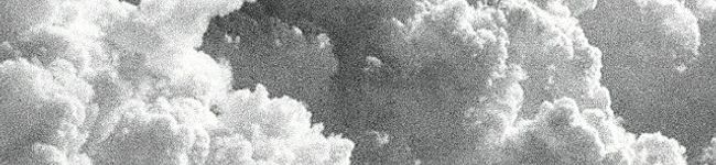 jilltom's header image