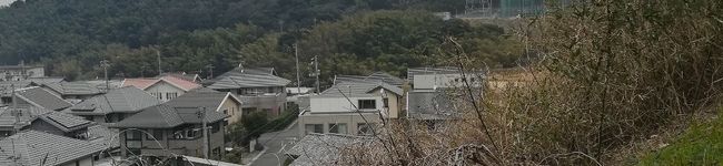 y_ssmjk's header image