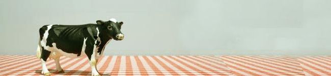 acobell's header image