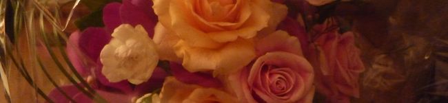 KaWaMu's header image