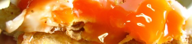 maony's header image