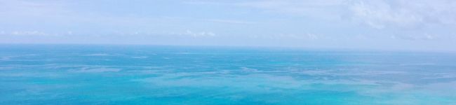 ♡akiko's header image