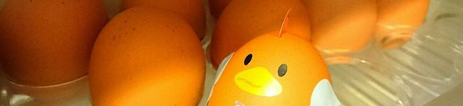 YUZVIO's header image