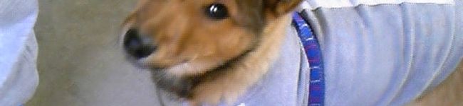 あっこぷぅ～♪'s header image