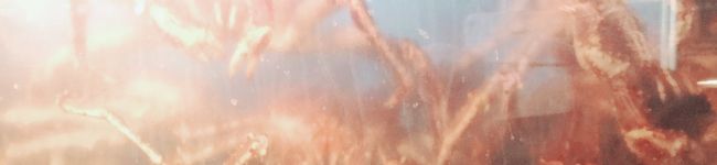☆OBAKIN☆'s header image