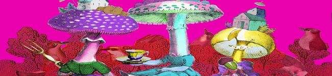 あつちゃむまむ's header image