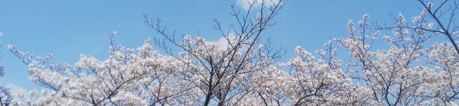 ★mimy★'s header image