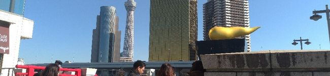 双子の姉のほう's header image