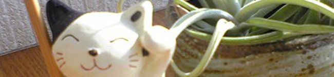 Old Moon's header image