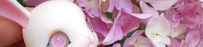 碧、花嫁修業中。's header image
