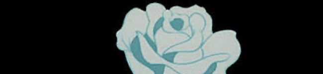 Mi__i's header image