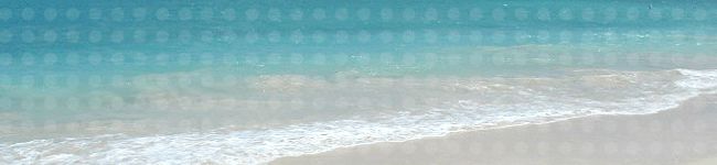 IKENON's header image