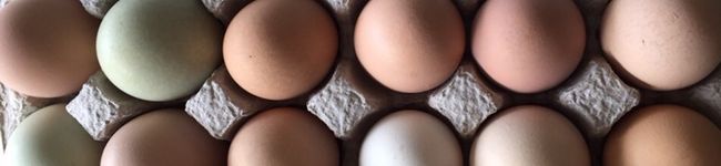 inoregon's header image