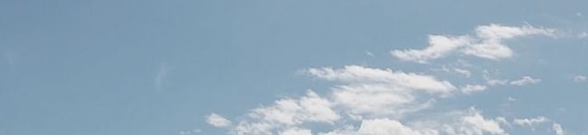 naaagram's header image