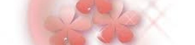 ＳＵＭＡＩＲＵ's header image