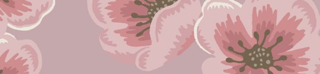 aokkii☆'s header image