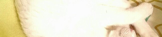RUNA☆IKU's header image