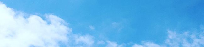 ❀なっさん。's header image