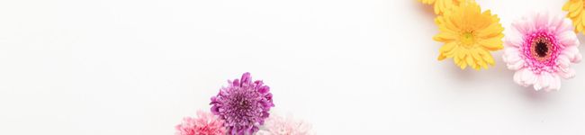 Aya_1983__'s header image