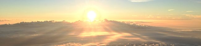 お弁当JD's header image