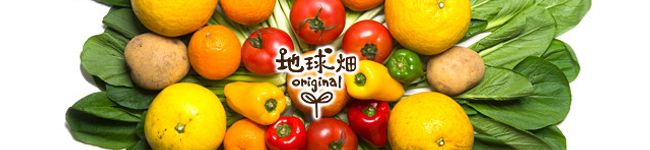 地球畑's header image