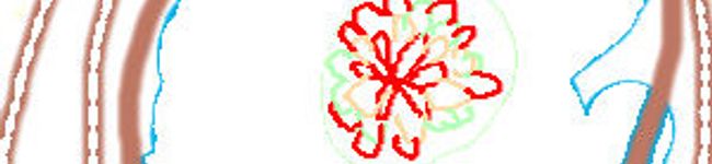 de-de's header image