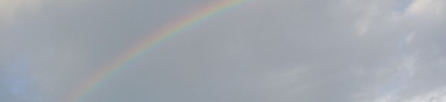 raika153's header image