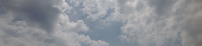 ひろせみかあさん's header image