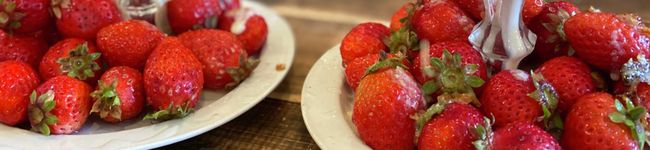 不器用キノ's header image