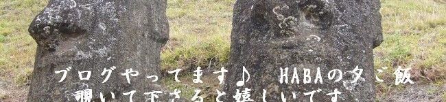 Haru Haru's header image