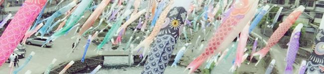 kari_kari's header image
